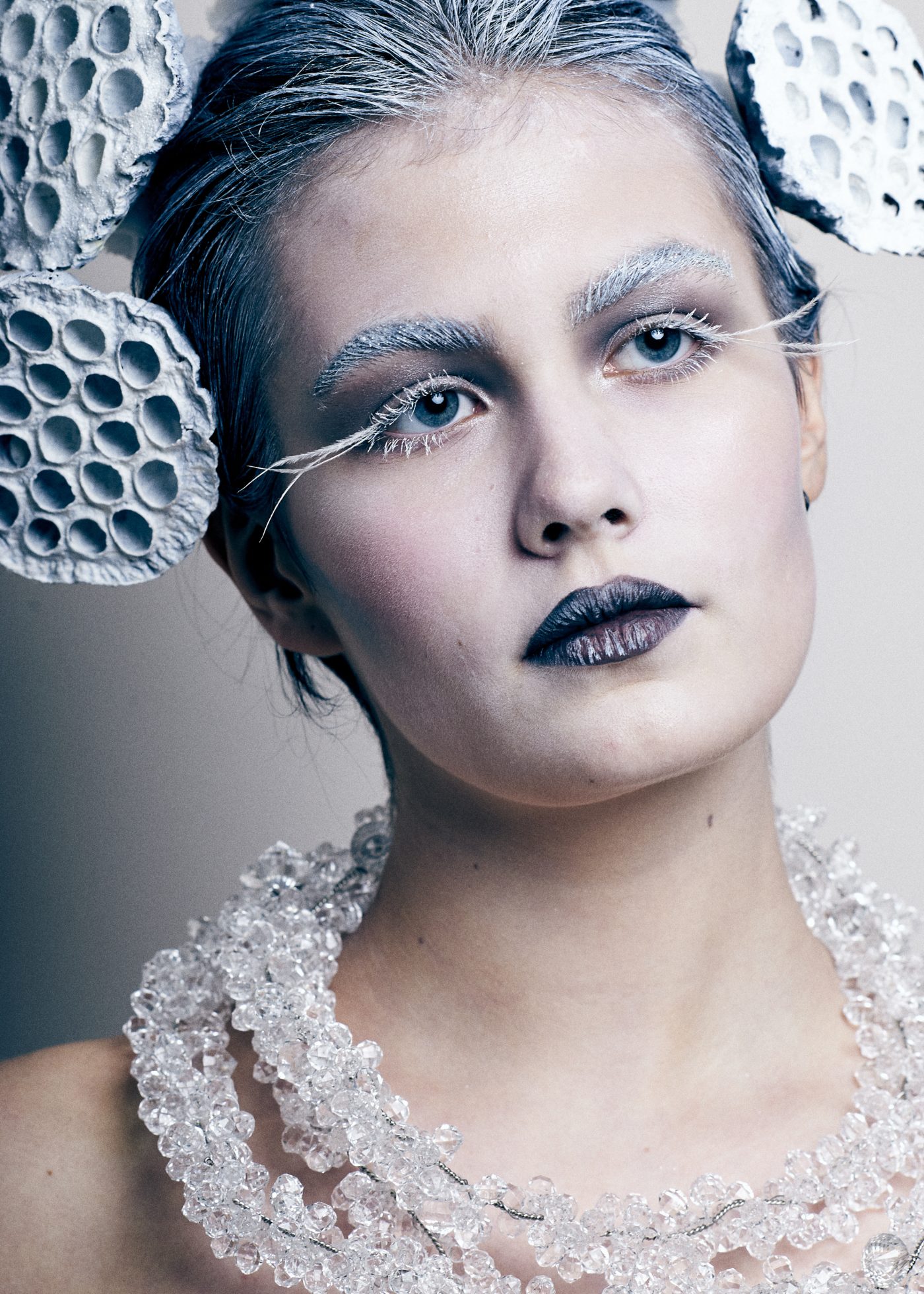 Winter Fantasy Makeup Sylvia Roza